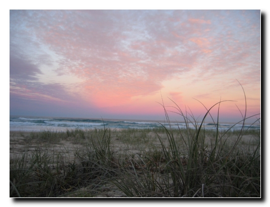 Fraser Island 14
